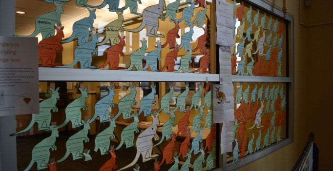 Paper kangaroos decorate the windows of the main office